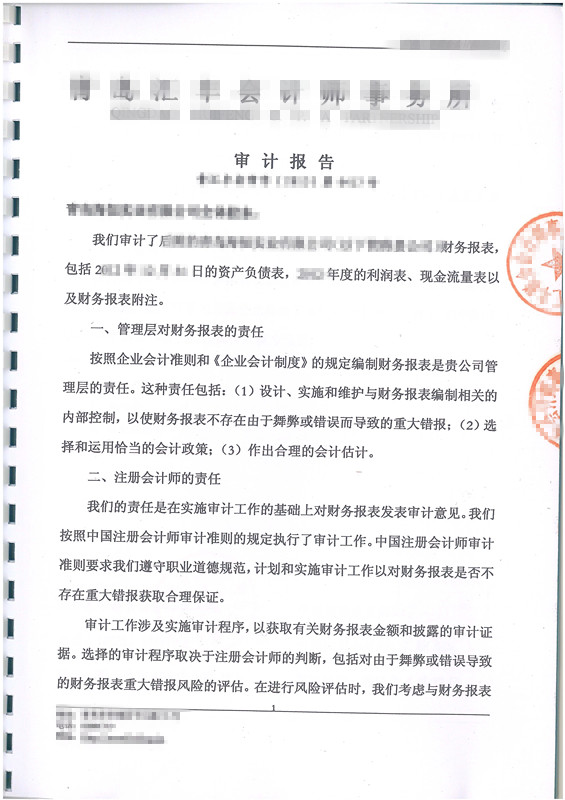 審計(jì)報(bào)告翻譯